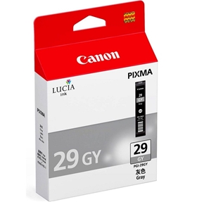 Mực in Canon PGI-29 Gray Ink Tank (4871B003AA)